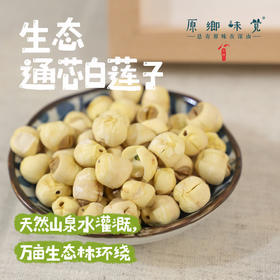 生态通芯白莲子（成都仓库-顺丰快递 ） |   300g/袋，来自福建南平建阳，生产者：江禄【合作生产，公平贸易】