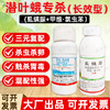潜叶蛾长效型杀虫方案专杀抗性潜叶蛾锈壁虱杀虫杀卵杀虫剂混配好 商品缩略图1