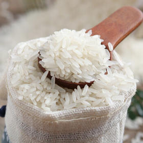 万年贡 金典丝苗米 煲仔饭专用 南方优质大米  5斤 长粒当季新米 炒饭