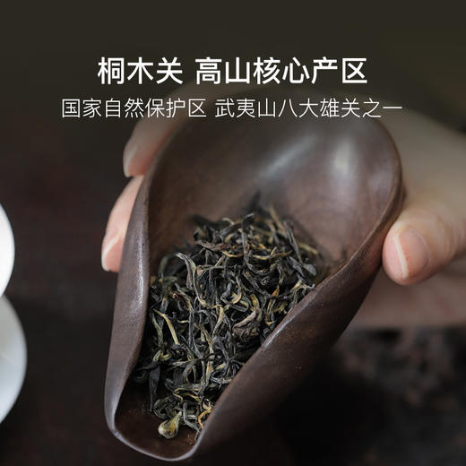 红茶七代世家出品，2025桐木关头春高山金骏眉纯芽头 商品图2