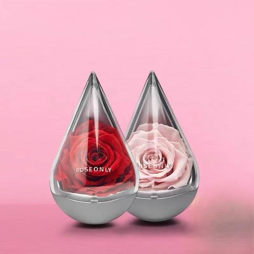 【星座水滴】ROSEONLY诺誓  永生玫瑰 星座经典 水滴玫瑰 红色  十二星座守护色 送女友爱人生日礼物 商品图1