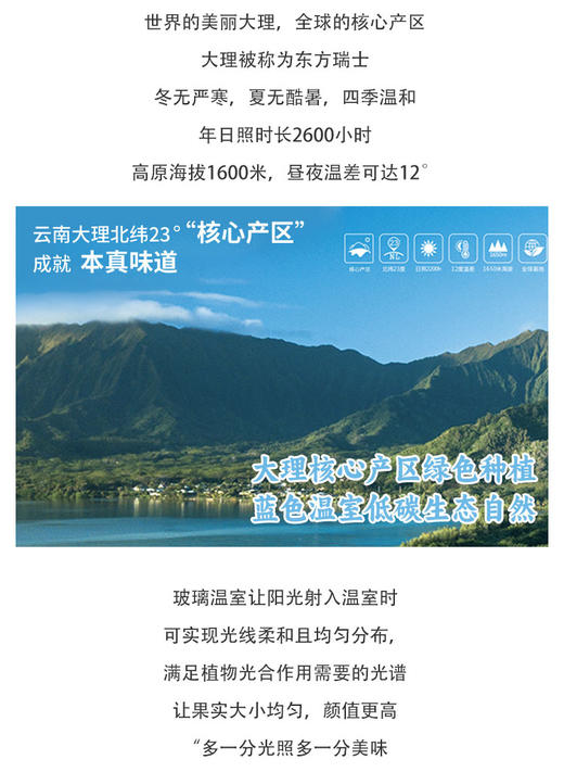 春沐源桔绿组合，小桔灯脆甜爽口，葡萄番茄皮薄糯甜 商品图8