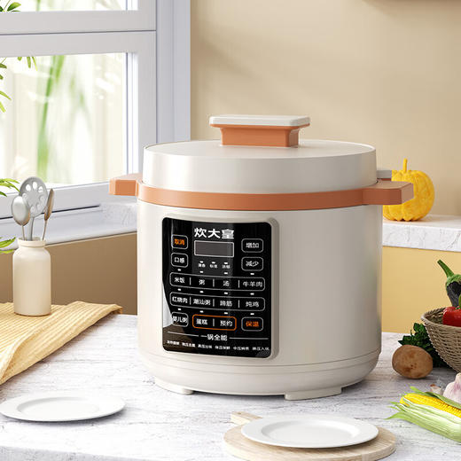 炊大皇电压力锅 CDH-YL1051可预约可自动排压 商品图3