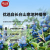 可益康蓝莓原浆饮品300ml 商品缩略图2