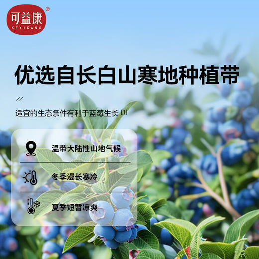 可益康蓝莓原浆饮品300ml 商品图2