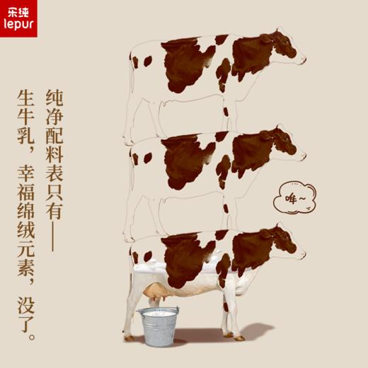 乐纯 绵绒牛乳 200ml*10 多规格 商品图3