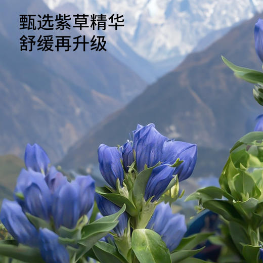 植气叮叮清凉舒缓乳 18g*2 商品图3