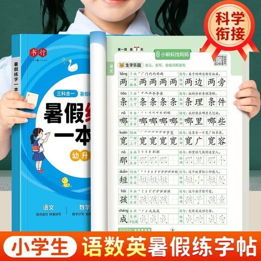 2025暑假练字语数英一本通幼小衔接同步语数英预习幼升小、一升二、二升三  练字+衔接学习 商品图1