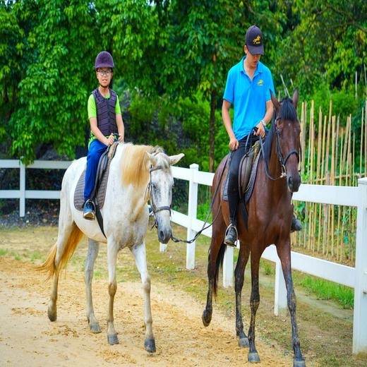 【班级定制】增城·毕业游1日 | 下午茶+烧烤趴的美味食物，骑马+攀岩的勇士挑战，田园采摘+星空篝火的休闲时光，让青春永不散场！ 商品图4