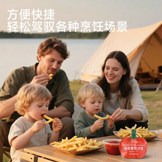 【宝宝爱吃】应物有机番茄酱沙司 儿童家用挤压袋小包装西红柿酱60g*3袋 商品图2