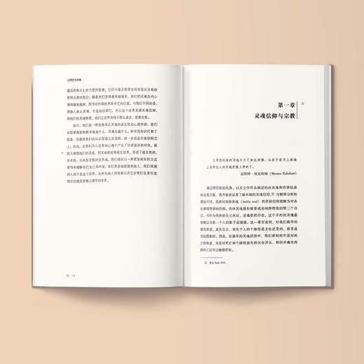 《心理学与灵魂》（西方心理学大师经典译丛19） 商品图3