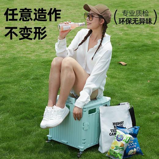 小推车轻便折叠拉杆车购物零食置物架移动野营便携买菜取快递神器 商品图2