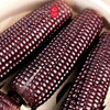 云巅村落紫糯小玉米礼盒1500g 商品缩略图4
