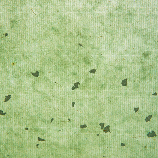 70-80年代西武荣宝斋雨雪冷金笺(单张销售，淡绿色) 商品图12