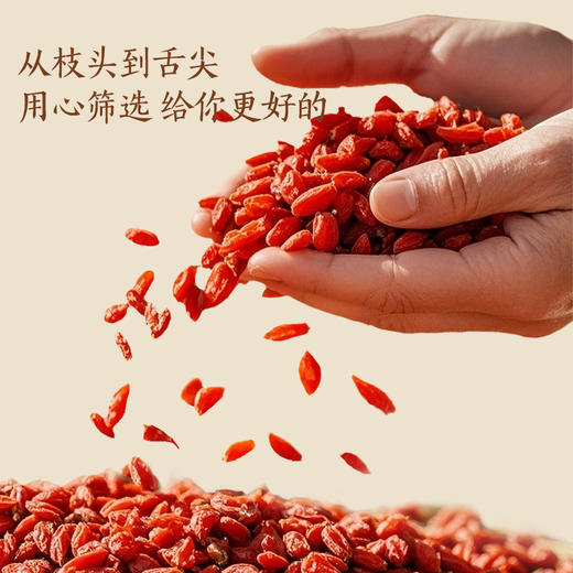 【商城专属】燕之坊宁夏贡果枸杞140g 商品图1
