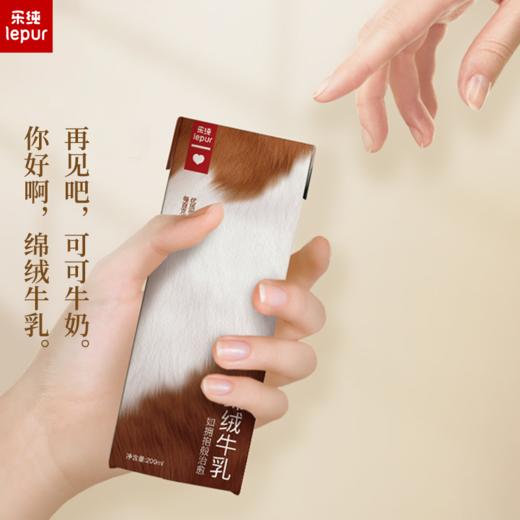 乐纯 绵绒牛乳 200ml*10 多规格 商品图4