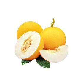 嗨果粒沙漠蜜瓜 2-3粒 整箱8斤