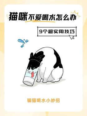 猫咪不爱喝水怎么办