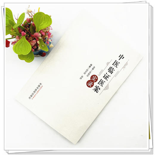 中医临证医案实录 赵宏波 孙静 主编 张振忠 主审 介绍了21种内科疾病的中医诊疗方法及方药应用等9787513293709中国中医药出版社 商品图3