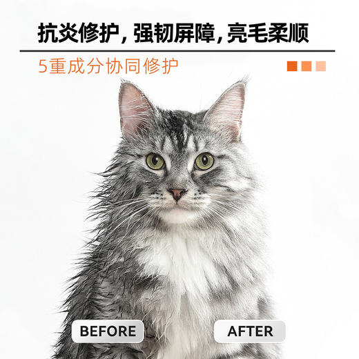 澳滋麦-瑞肤佳-皮肤屏障修复软胶囊 商品图2