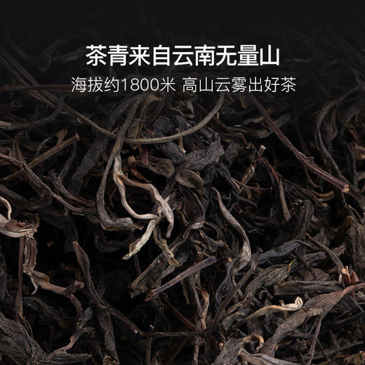彝族非遗出品 有机茶园2024年无量山古树普洱生茶 商品图3