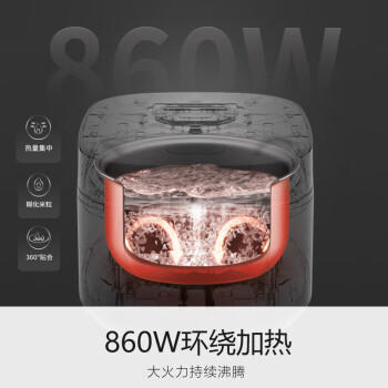 九阳（Joyoung）30分钟快煮饭大火力柴火饭4升家庭容量3~4人电饭煲电饭锅多功能微压焖煮方煲F-40FZ815 /家用电器 /厨房小电 /电饭煲 商品图3