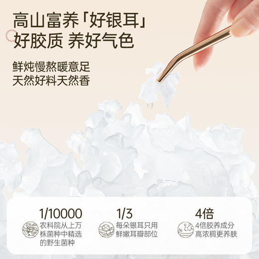【滋补养生】金燕耳鲜炖“小金碗”，银耳胶质满满，口感层次丰富，美味无需多等，易开启省时省力，免去24小时浸泡和2小时炖煮。 商品图2