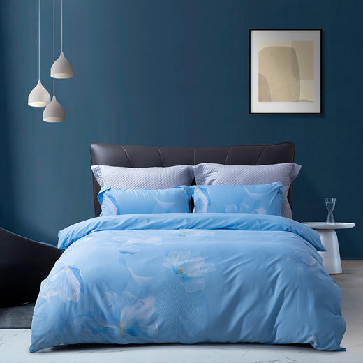 水星家纺 DH锦瑟未央-S04（抗菌）四件套 商品图5