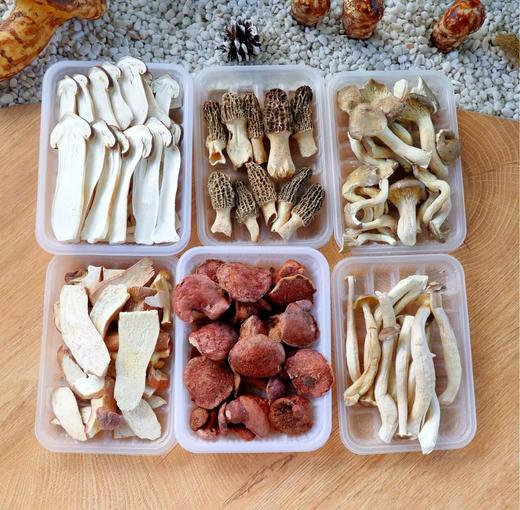 云南冻干菌子盛宴礼盒171g 商品图5