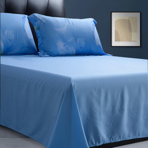 水星家纺 DH锦瑟未央-S04（抗菌）四件套 商品图7