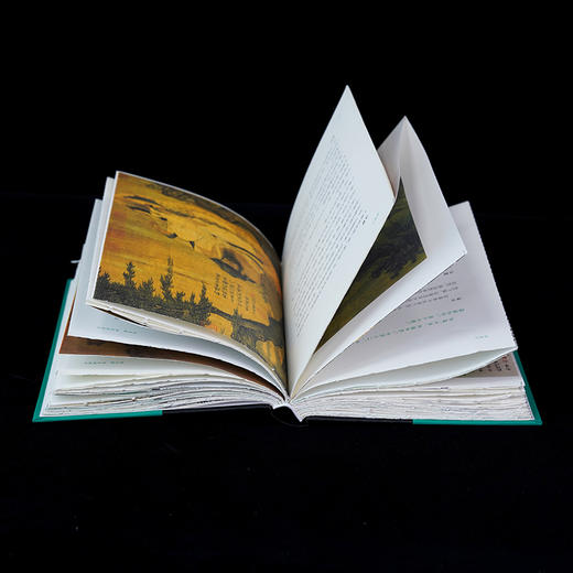 【毛边】道德经 彩图本 商品图3