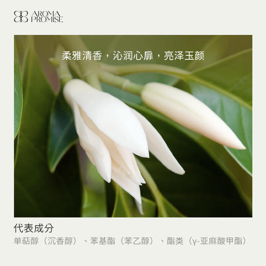 白兰花精油2ml 清幽暗香 安抚心神 平静心绪 商品图1