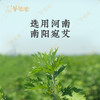 【南阳艾条】艾灸|南阳道地好艾 传承经典 悬灸 商品缩略图5