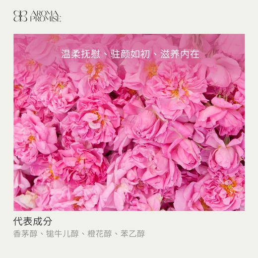 大马士革玫瑰精油2ml 浓郁芬芳香气 商品图1