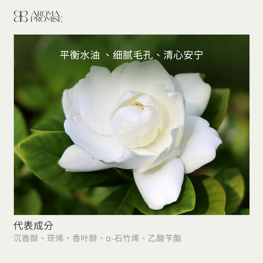 栀子花精油2ml 清幽弥散 平衡油脂调节情绪 商品图1