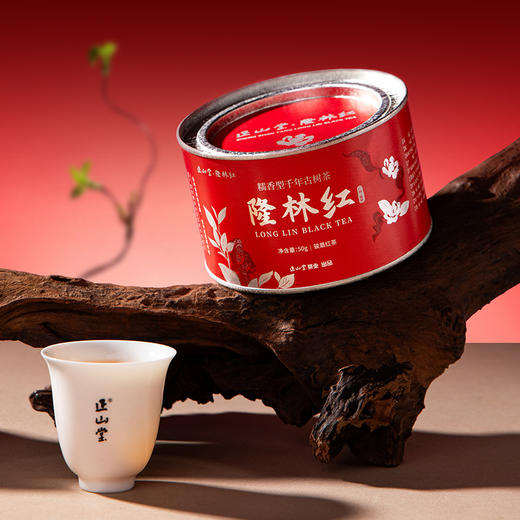 正山堂隆林红 骏眉中国特级红茶 正宗广西古树茶叶罐装送礼长辈 商品图5