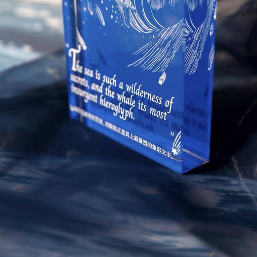 后浪自研文创 白鲸系列决策币 亚克力摆件任选 金属徽章文创礼物 商品图7