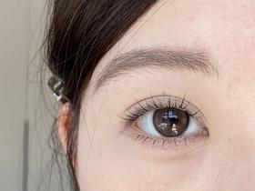 pisircon日抛美瞳 撒娇小猫 14.2mm