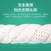 慕思 PSZ1-161曲线波浪成人枕乳胶枕大枕头40cm*60cm 商品缩略图2