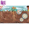 【中商原版】National Trust Wonder World Earth 神奇的土壤 英文原版 大自然动植物知识科普 儿童绘本 少儿百科知识读物 商品缩略图2