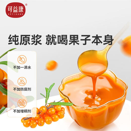 可益康沙棘原浆饮品300ml 商品图2