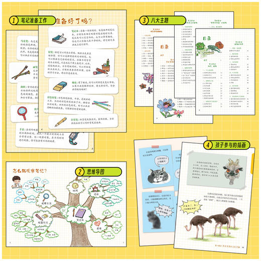 动物观察笔记【官方正版，可开发票】 商品图3