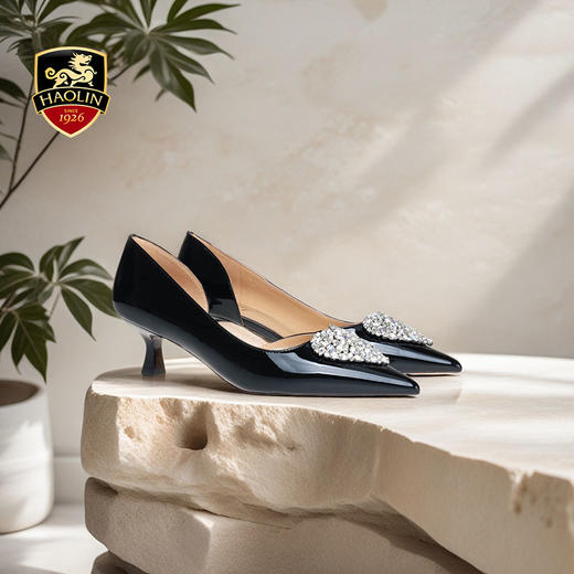 豪麟名鞋奥莱迪嘉女鞋皮鞋牛移膜革DJYYA41WP002黑色  原价1660元 商品图1