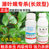 潜叶蛾专杀套餐正品虱螨脲杀卵柑橘果树锈壁虱潜叶蛾专用杀虫剂 商品缩略图3