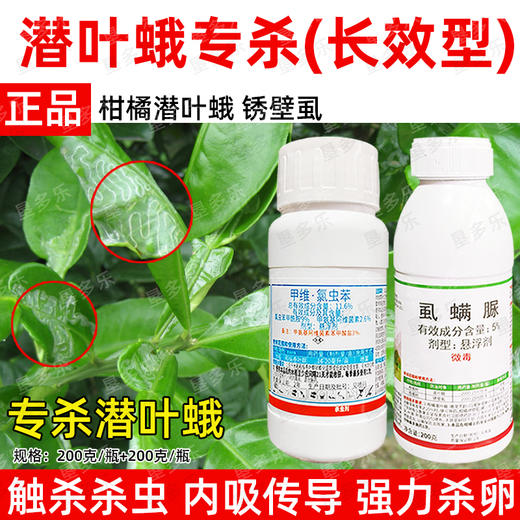 潜叶蛾专杀套餐正品虱螨脲杀卵柑橘果树锈壁虱潜叶蛾专用杀虫剂 商品图3