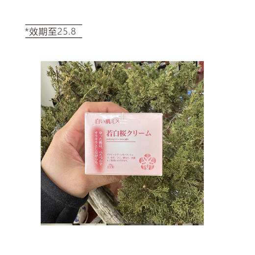 【清仓好价】日本进口白肌小姐樱花私の处嫩白霜去黑色素粉嫩霜膏50g（效期至25.8） 商品图4