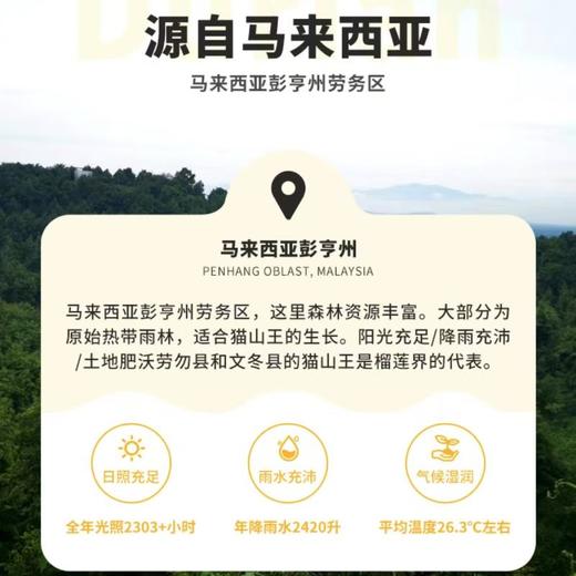 D197冷冻猫山王榴莲果肉（带核）500g/盒 商品图2