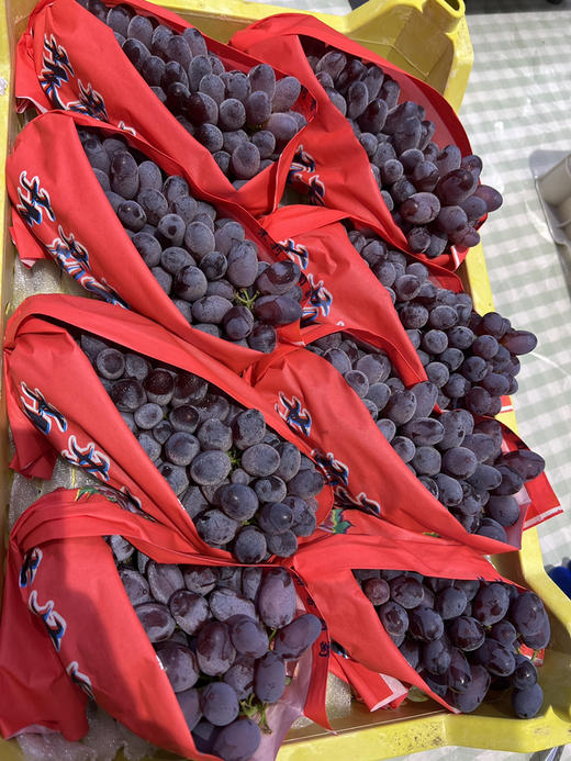 端午送礼推荐 葡提类  桃子蓝莓 搭配送礼漂亮 商品图1