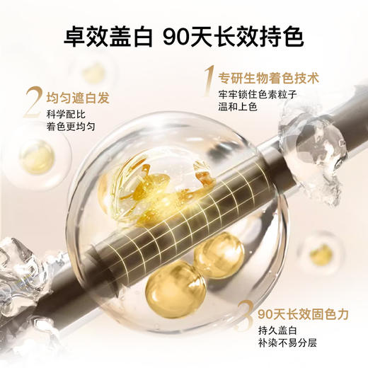 圣诗婷经典轻松植物染发剂 商品图6