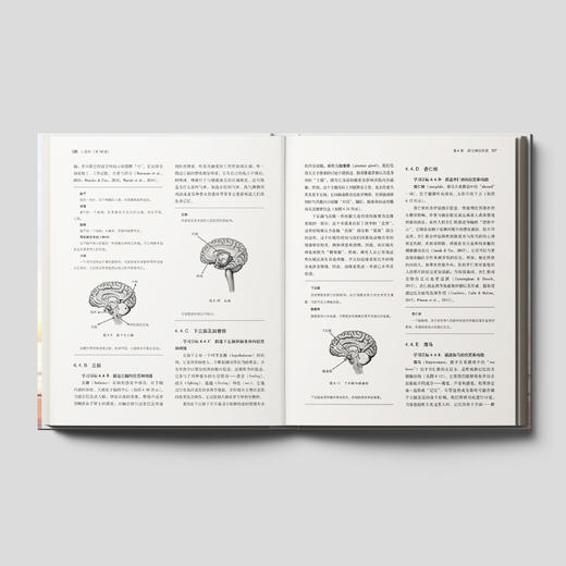 《心理学》（第13版） 商品图3